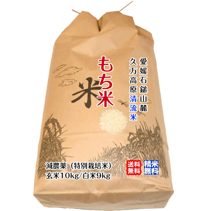 もち米 玄米10kg/白米9kg 2023年産 石鎚山麓 久万高原 清流米 減農薬 特別栽培米 高原清流が育んだお米 百姓直送 送料無料 宇和海の幸問屋 愛媛百貨店