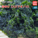 青のり(スジアオノリ)生 冷蔵 高知 宿毛産 送料無料 北海道/沖縄/東北は別途送料 宇和海の幸問屋 愛媛百貨店
