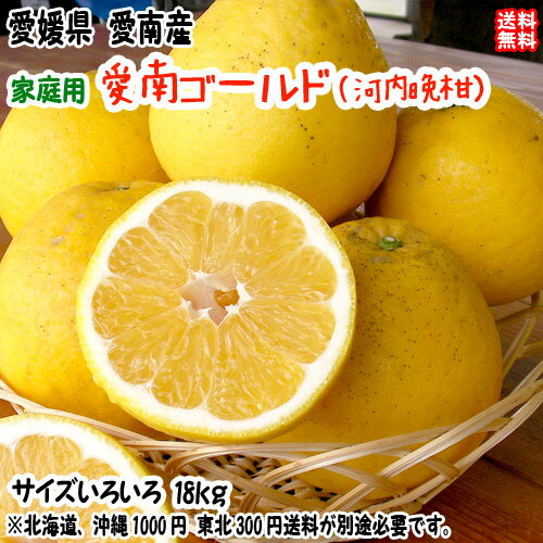 愛南ゴールド 河内晩柑 （家庭用 18kg） サイズ不揃い 愛媛 愛南町産 爽やかジューシーな夏の柑橘 ブランドの品質 送料無料 宇和海の幸..