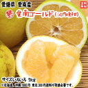 愛南ゴールド 河内晩柑 (訳あり 7kg) サイズ不揃い 愛媛 愛南町産 爽やかジューシーな夏の柑橘 ブランドの品質 送料無料 宇和海の幸問屋 愛媛百貨店