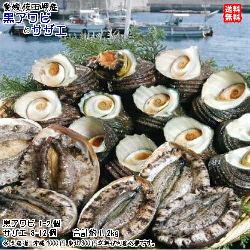 黒アワビ （1-2枚で150-200g） ＆ サザ�