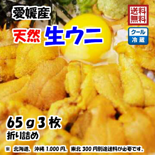 愛媛 天然 ウニ 60g3枚 紫ウニ 赤ウニ 素潜り海士 送料無料 浜から直送 宇和海の幸問屋 愛媛百貨店