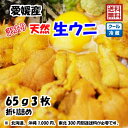 愛媛 天然 ウニ 訳あり 65g3枚 紫ウニ 赤ウニ 素潜り海士 送料無料 浜から直送 宇和海の幸問屋 愛媛百貨店