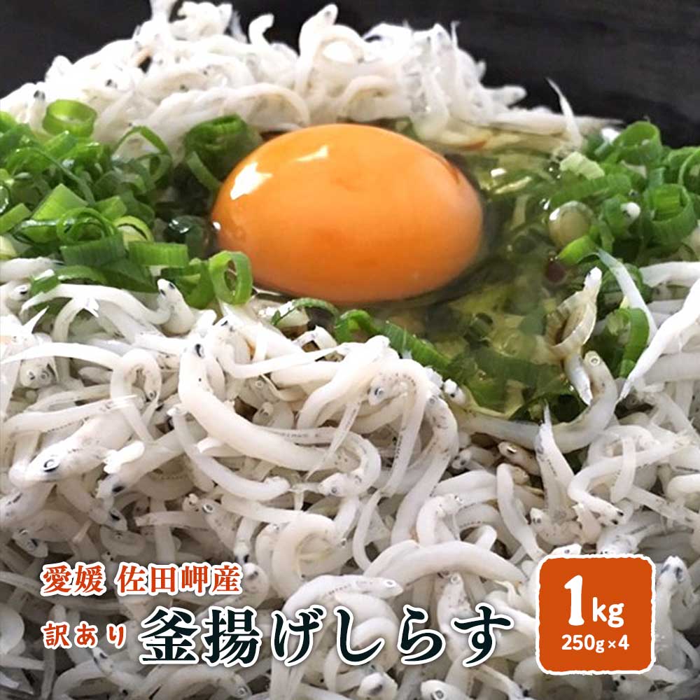 釜揚げしらす 訳あり 1kg （250g×4p）冷凍便 愛媛 佐田岬産 浜から直送 無添加/無着色 送料込み 北海道/沖縄/東北は別途送料 宇和海の幸問屋 愛媛百貨店のサムネイル