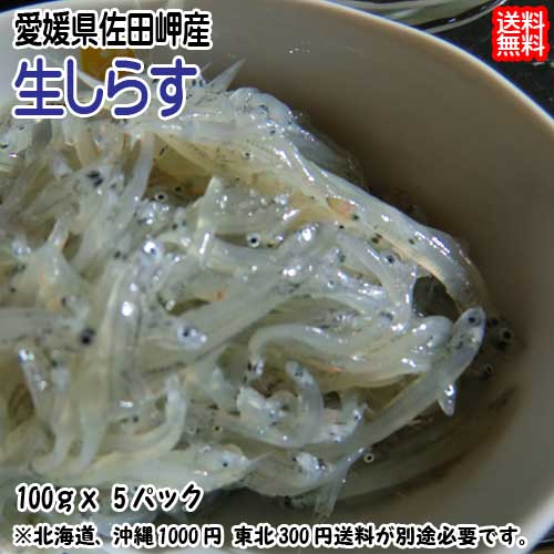 生しらす 500g（100g×5p） 愛媛 佐田岬産 冷凍便 送料無料 北海道/沖縄/東北は別途送料 浜から直送 無添加/無着色 宇和海の幸問屋 愛媛百貨店