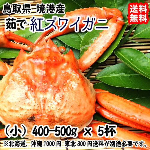 紅ズワイガニ 浜ゆでボイル 小 400-500g×5杯 鳥取 境港 浜茹で直送 そのままで 鍋で 焼いて サラダで ..