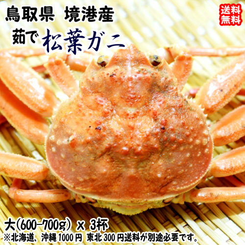 松葉ガニ ズワイガニ (大 600-700gx3杯) 鳥取県 境港産 期間限定 11/10~2月末 送料無料 北海道・沖縄・東北は別途送料 宇和海の幸問屋 松葉ガニ ズワイガニ (大 600-700gx3杯) 鳥取県 境港産 期間限定 11/10~2月末 送料無料 北海道・沖縄・東北は別途送料 宇和海の幸問屋