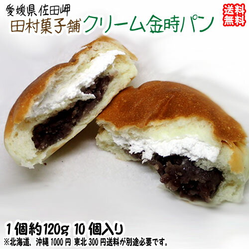 あんパン クリーム金時パン 10個 愛媛 佐田岬 三代伝承の味 冷凍 送料無料 北海道/沖縄/東北は別途送料 宇和海の幸問屋 愛媛百貨店