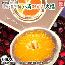 愛媛 佐田岬 八寿みかん大福 6個入 三代伝承の味 送料無料 北海道 沖縄 東北は別途送料 宇和海の幸問屋 愛媛百貨店