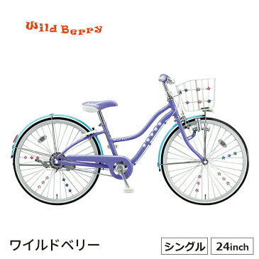 【店内全品ポイント2倍!5/1(土)00：00〜5/5(水)23：59迄】子供用自転車ワイルドベリー 24インチ 完全組立 ブリヂストン wb401