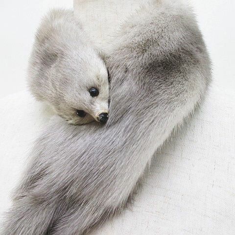 楽天市場】ミンク 毛皮マフラーの通販