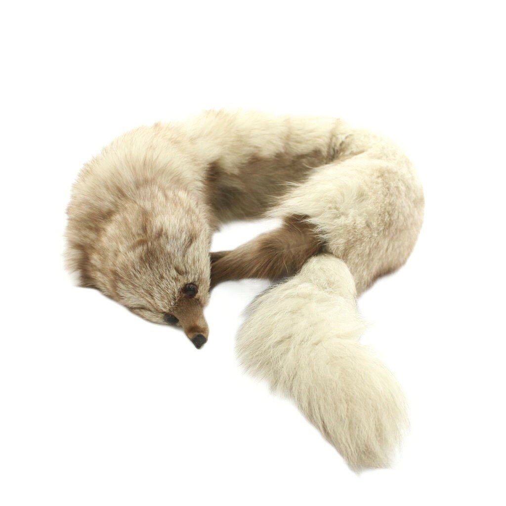 【中古】ノーブランド ファーティペット フォックスファー 茶 ブラウン /MI ■GY18 レディース 【ベクトル 古着】 260716表記サイズ表記なし実寸サイズ全長95cm　幅10cm　素材フォックスファー色茶 ブラウン状態保管時についたと思われるにおいがございますが、その他に目立ったダメージはなく、まだまだご使用いただける商品です。 ※あくまでも中古品ですので掲載写真や記載内容をご確認いただき、ご理解の上ご購入ください。付属品付属品なし商品のお問い合わせの回答を休止しております。＊各商品ページの商品詳細等をご確認の上ご購入ください。【中古】ノーブランド ファーティペット フォックスファー 茶 ブラウン /MI ■GY18 レディース 【ベクトル 古着】 260716状態ランク　”AB”詳細については、下記および「状態ランクについて」ページをご覧ください。未使用・新品の商品ほぼ新品同様の商品使用感が少なく、かなり状態の良い商品使用感はあるが、傷や汚れの少ない商品使用感の他、傷や汚れが見られる商品かなり大きな傷みがある難あり商品※S〜CランクはUSED品となりますので、使用感をご理解の上でご入札下さい。状態ランクについてinformation表記サイズ表記なし実寸サイズ全長95cm　幅10cm　素材フォックスファー色茶 ブラウン状態保管時についたと思われるにおいがございますが、その他に目立ったダメージはなく、まだまだご使用いただける商品です。 ※あくまでも中古品ですので掲載写真や記載内容をご確認いただき、ご理解の上ご購入ください。付属品付属品なし商品のお問い合わせの回答を休止しております。＊各商品ページの商品詳細等をご確認の上ご購入ください。本商品は一点物です他サイトや店舗にて販売している商品です。多少のお時間差にて欠品になることもございます。予めご了承頂ますようお願い致します。ベクトル・サイズガイドはこちらこの商品と同じブランドの商品を見る