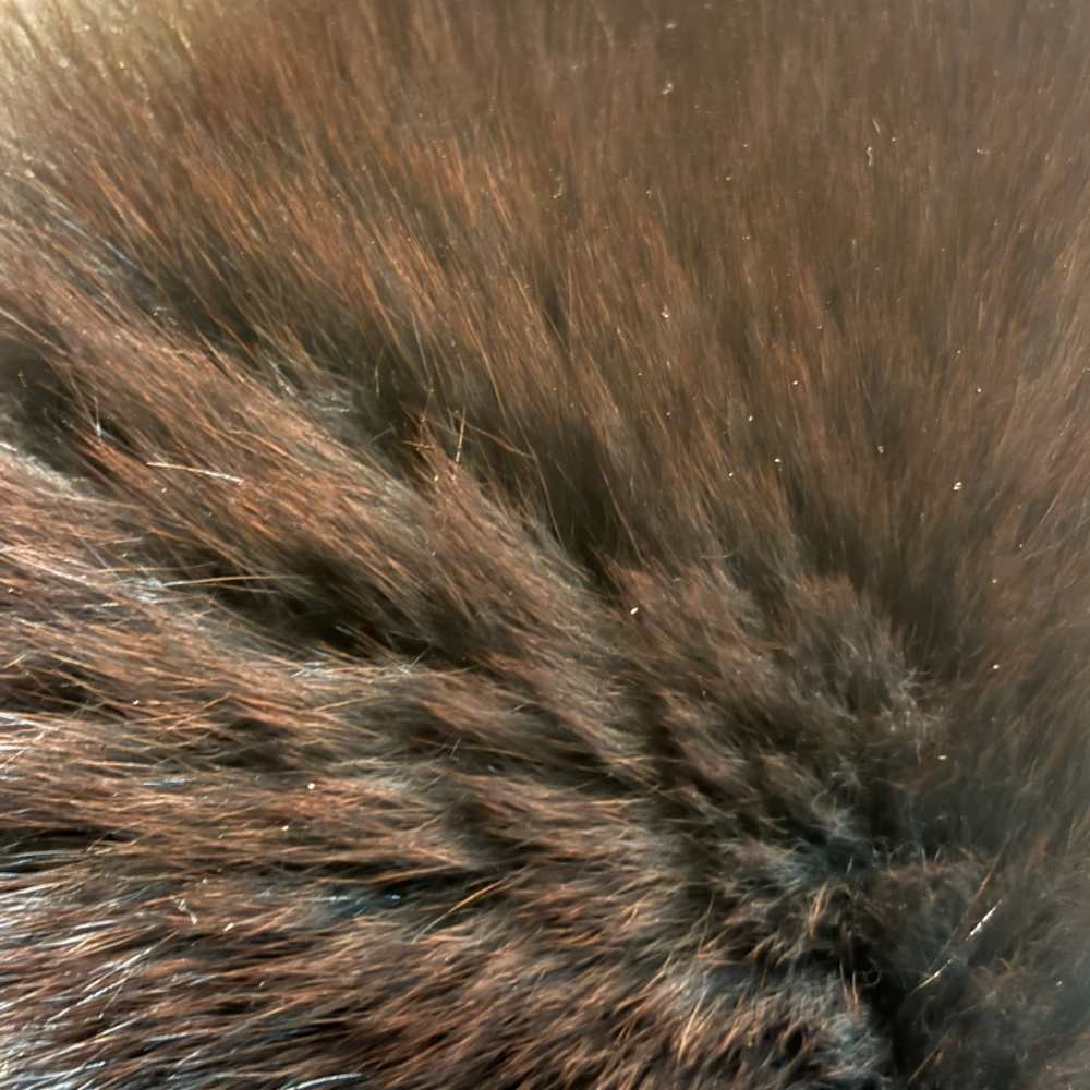 ブランド古着の買取販売ベクトルの【中古】ノーブランド マフラー ティペット ストール 黒 ブラック ■GY99 レディース 【ベクトル 古着】 260412｜アングル3