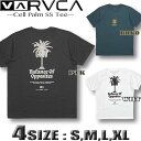 RVCA [J TVc  Y T[tuh XP{[ yyΉzBD041-233