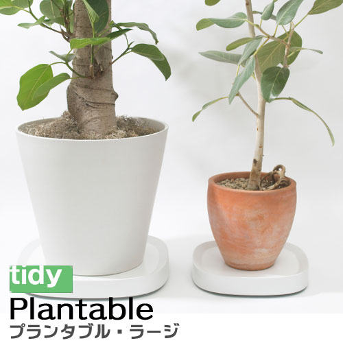 tidy Plantable L [プランタブ...の紹介画像2