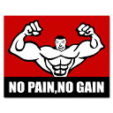 NO PAIN NO GAIN ステッカー マッチョマン 送料無料 シール 筋トレ 防水加工 教訓  ...