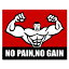 NO PAIN NO GAIN ƥå ޥåޥ ̵  ڥȥ ɿù   ȥ졼˥  ä ݡ  Ʈ ܥǥӥ