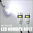 送料無料 2個 バイク用 LED ナンバー灯 黒 / 銀 内蔵ボルト 直角照射 SMD 白 M6