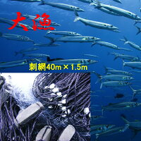刺網