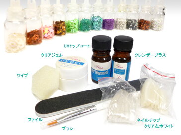 ジェルネイルスターターキット ☆12種類のデコ素材付き☆ ホログラム/ブリオンなど