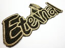 送料無料 刺繍ワッペン30★アイロン接着可!サイズ:約130×55mm