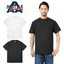 クーポンで最大18%OFF★【メーカー取次】【S〜XLサイズ】ALSTYLE アルスタイル 1301 アダルト S/S クルーネックTシャツ / メンズ レディ...