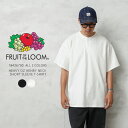 クーポンで最大15 OFF★【あす楽】FRUIT OF THE LOOM フルーツオブザルーム 18426700 ヘビーオンス ヘンリーネック ショートスリーブTシャツ【T】｜メンズ 半袖 大きいサイズ 厚手 ヘビーウェイト ワイドシルエット ボックス ゆったり 無地 ブランド おしゃれ