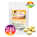 お徳用 金時しょうがサプリメント 240粒 最大4か月分 寒がりの貴方にピッタリ 金時生姜サプリメント