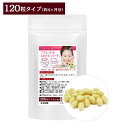 お徳用 プラセンタ サプリ 120粒 約4ヶ月分 欧州産豚プラセンタ1粒1800mgに増量 新成分ふかひれコラーゲン追加 第二弾ふかひれの恵み誕生 豚プラセンタ...