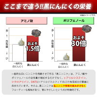 【即発送メール便】超熟★黒にんにく卵黄2袋セット販売にんにくサプリニンニク【高品質】青森県産「福地ホワイト六片」使用【黒にんにく】+【卵黄】+【黒酢】トリプルパワー炸裂!更にダイエット&美容成分もIN!【幸せクーポン発行中】「1,620円以上の購入で送料無料」