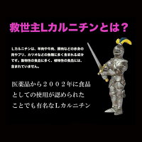 Lカルニチン60粒ダイエットDiet燃焼系サプリ(約1ヶ月分300mg×60粒)コエンザイムQ10、カテキン配合1粒当たりL-カルニチン酒石酸塩70.5mg配合!メール便メール便発送商品配達日時指定不可