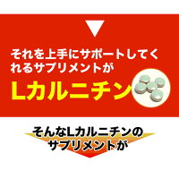 Lカルニチン60粒ダイエットDiet燃焼系サプリ(約1ヶ月分300mg×60粒)コエンザイムQ10、カテキン配合1粒当たりL-カルニチン酒石酸塩70.5mg配合!メール便メール便発送商品配達日時指定不可