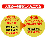 Lカルニチン60粒ダイエットDiet燃焼系サプリ(約1ヶ月分300mg×60粒)コエンザイムQ10、カテキン配合1粒当たりL-カルニチン酒石酸塩70.5mg配合!メール便メール便発送商品配達日時指定不可
