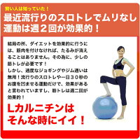 Lカルニチン60粒ダイエットDiet燃焼系サプリ(約1ヶ月分300mg×60粒)コエンザイムQ10、カテキン配合1粒当たりL-カルニチン酒石酸塩70.5mg配合!メール便メール便発送商品配達日時指定不可