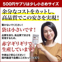 Lカルニチン60粒ダイエットDiet燃焼系サプリ(約1ヶ月分300mg×60粒)コエンザイムQ10、カテキン配合1粒当たりL-カルニチン酒石酸塩70.5mg配合!メール便メール便発送商品配達日時指定不可