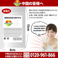 Lカルニチン60粒ダイエットDiet燃焼系サプリ(約1ヶ月分300mg×60粒)コエンザイムQ10、カテキン配合1粒当たりL-カルニチン酒石酸塩70.5mg配合!メール便メール便発送商品配達日時指定不可