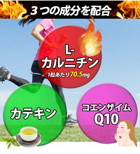 Lカルニチン60粒ダイエットDiet燃焼系サプリ(約1ヶ月分300mg×60粒)コエンザイムQ10、カテキン配合1粒当たりL-カルニチン酒石酸塩70.5mg配合!メール便メール便発送商品配達日時指定不可