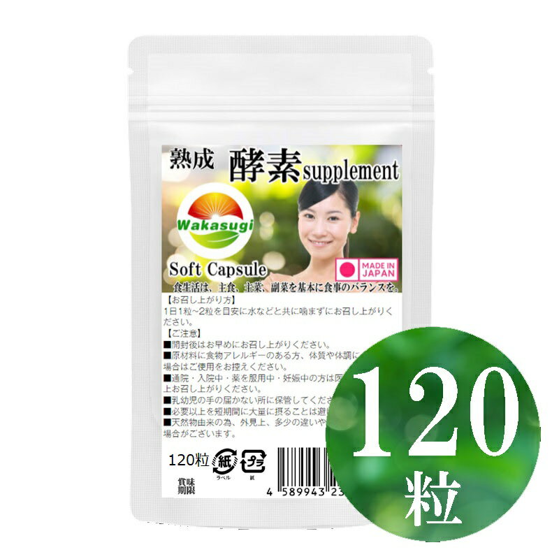 熟成 生酵素 お徳用1袋120粒 約4ヵ月