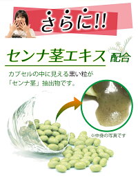 生酵素酵素サプリ熟成176種類1袋30粒入約1か月分生野草酵素サプリメント生カプセルタイプ野草ハーブ78種類海藻6種類果物33種類野菜+きのこ35種類糖類5種類穀物8種類豆・ナッツ類11種類合計176種類の酵素サプリメント
