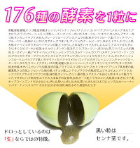 生酵素酵素サプリ熟成176種類1袋30粒入約1か月分生野草酵素サプリメント生カプセルタイプ野草ハーブ78種類海藻6種類果物33種類野菜+きのこ35種類糖類5種類穀物8種類豆・ナッツ類11種類合計176種類の酵素サプリメント