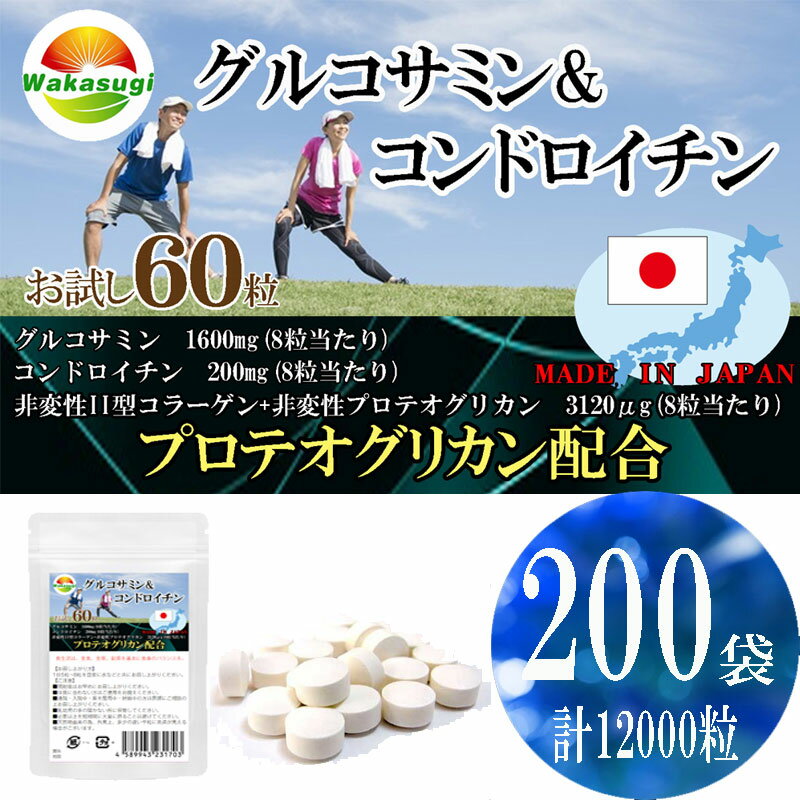 まとめ売り　グルコサミン＆コンドロイチン60粒【200袋セット計12000粒】プロテオ...