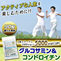 【即発送】若い女性も注目!グルコサミン&コンドロイチン【90粒/約1ヶ月分】【8粒当たりグルコサミン1500mgコンドロイチン160mgII型コラーゲン5000μg配合!即発送メール便【