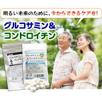 グルコサミン&コンドロイチン【90粒/約1ヶ月分】【8粒当たりグルコサミン1500mgコンドロイチン160mgII型コラーゲン5000μg配合!