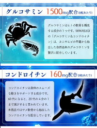 グルコサミン&コンドロイチン【90粒/約1ヶ月分】【8粒当たりグルコサミン1500mgコンドロイチン160mgII型コラーゲン5000μg配合!