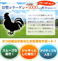 グルコサミン&コンドロイチン【90粒/約1ヶ月分】【8粒当たりグルコサミン1500mgコンドロイチン160mgII型コラーゲン5000μg配合!