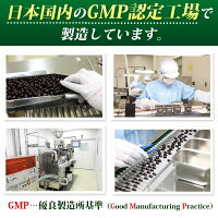 コレウスフォルスコリ60粒約30日分コエンザイムQ10豊富なビタミンL-カルニチン配合フォルスコリ抽出物一粒に100mg高配合【メール便発送商品】