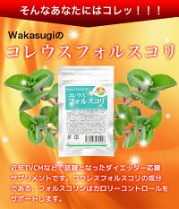 コレウスフォルスコリ60粒約30日分コエンザイムQ10豊富なビタミンL-カルニチン配合フォルスコリ抽出物一粒に100mg高配合【メール便発送商品】
