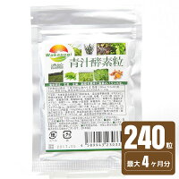 濃縮青汁酵素粒