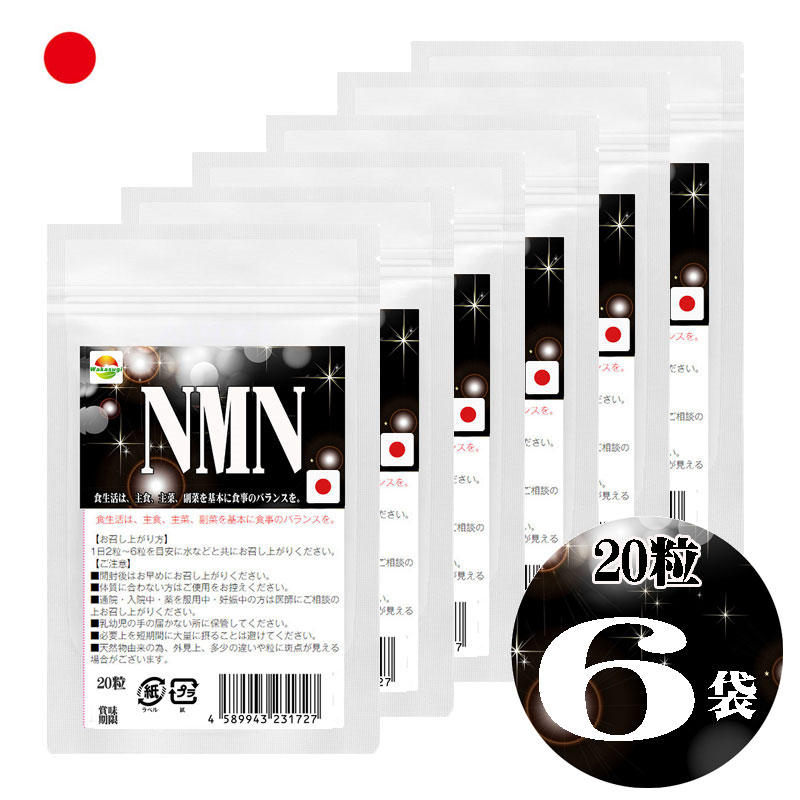 NMN サプリメント　20粒 6袋セット計120粒　日本製 限界への挑戦 純度99.9％ 国産ニコチンアミドモノヌクレオチド使用 1粒250mgあたりNMN50mg配合 1袋にNMN1000mg配合