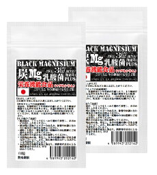 栄養機能食品　ブラックマグネシウム　60粒　2袋セット計120粒　約2ヶ月分　31種の野草炭＋国産孟宗竹に有胞子性乳酸菌プラス　2粒でマグネシウム3億個　腸まで届く有胞子性乳酸菌使用 炭チャコール×Mg　乳酸菌　トリプル処方